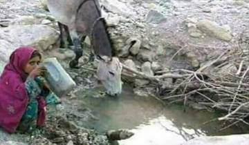 انسان اور جانور ایک ہی گھاٹ سے پانی پینے پر مجبور