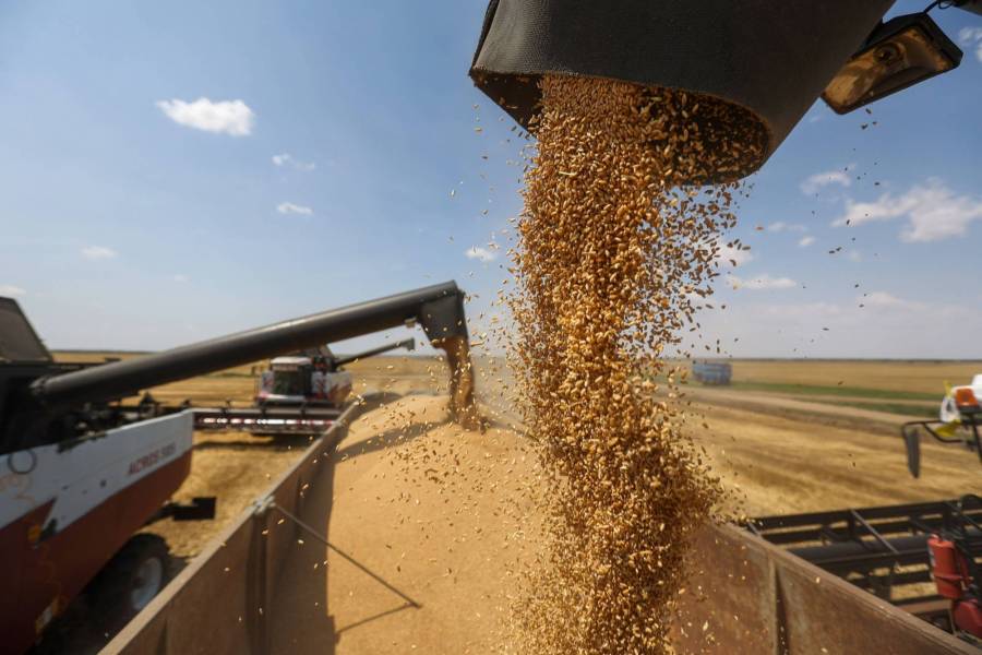 روس نے یوکرین کی گندم اورمختلف اجناس پر بھی قبضہ کرلیا