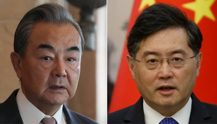 wang appointed new chinese FM