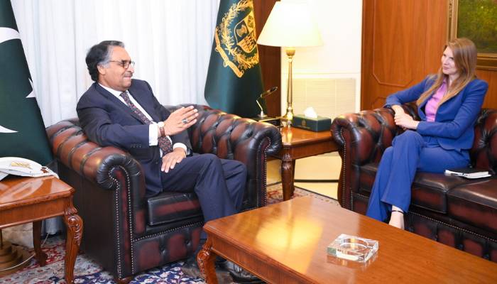 نگران وزیرخارجہ جلیل عباس جیلانی سے برطانوی ہائی کمشنر کی ملاقات