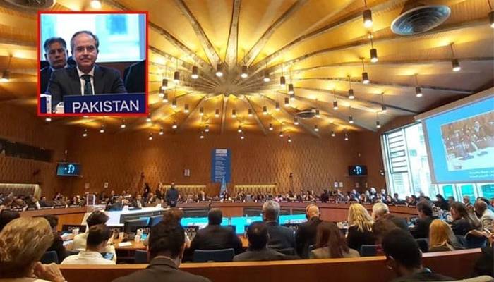 پاکستان دو سال کیلئے یونیسکو ایگزیکٹیو بورڈ کا وائس چیئرمنتخب