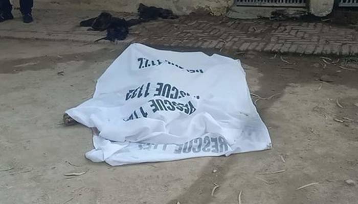 بہاولپور چڑیاگھر میں ٹائیگر کے حملے میں شہری جاں بحق 