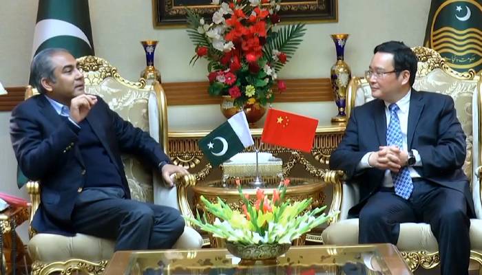 وزیراعلیٰ محسن نقوی سے چینی قونصل جنرل کی وفد سمیت ملاقات