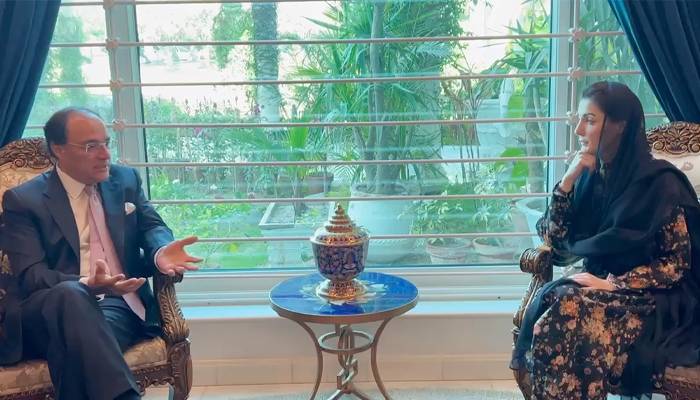 وزیراعلیٰ مریم نوازسےوفاقی وزیرخزانہ محمدا ورنگزیب کی ملاقات