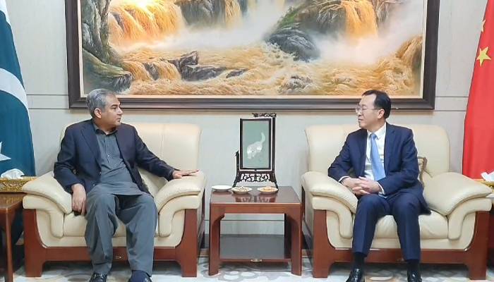 وزیرداخلہ محسن نقوی کی چینی قونصل جنرل سےملاقات