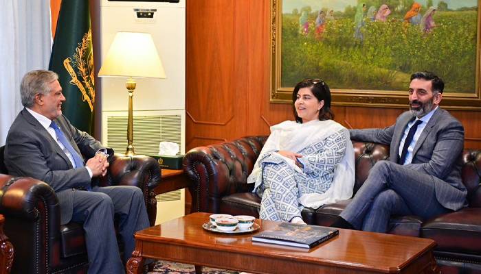 وزیرخارجہ سے برطانوی رکن سعیدہ وارثی کی ملاقات